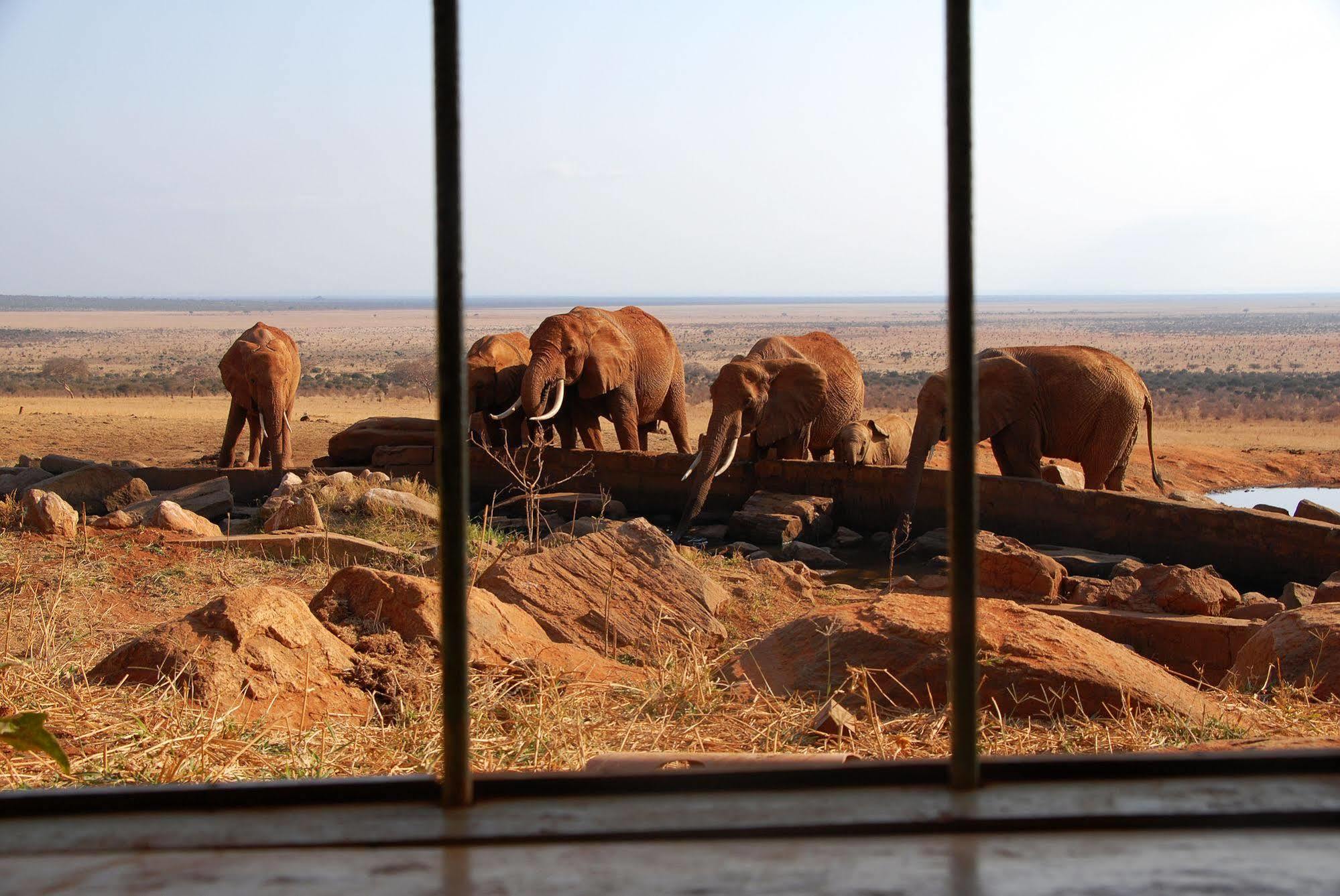 Voi Safari Lodge Exterior photo